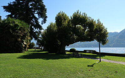 Tremezzina 609: Græs, Naturlige Landskab, Landskab, Lawn, Udendørs Bench, Bagagerum, Have, Sø, Parkere