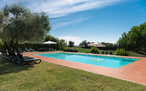 Country House In Tuscan Hills: Estate, Svømmepøl, Hacienda, Landscaping, Udvej, Plantation, Eco Hotel, Villa, Stuehus