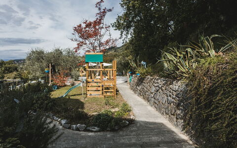 Villa Vernazza: Busk, Have, Forår, Landscaping, Skygge, Botanisk Have