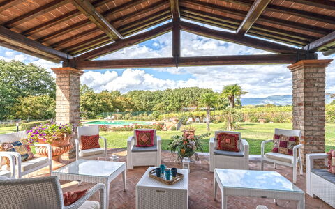 Dimora Di Castroncello: Have, Estate, Udvej, Eco Hotel, Skygge, Hacienda, Sommerhus, Landscaping, Stol, Stuehus