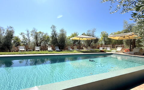 Villa del Mangia, 5Panoramic Pool and Chef Service: Svømmepøl, Træ, Udvej, Udendørs Møbler, Have, Skygge, Eco Hotel, Landscaping, Hacienda, Estate