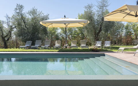 Villa del Mangia - Luxury Villa with Infinity Pool: Svømmepøl, Udvej, Udendørs Møbler, Skygge, Have, Liggestol, Eco Hotel, Landscaping, Lawn, Stol