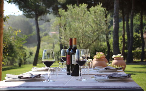 Villa Petrosa: Your Private Escape Overlooking the: Møbel, Bordservice, Bord, Drinkware, Glasservice, Udendørs Møbler, Vinglas, Barware, Vin
