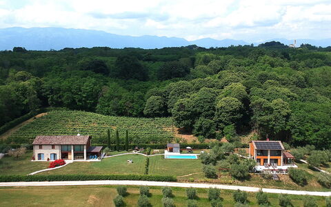 Villa Montello Pool, Jacuzzi, Ac, Wifi, Treviso: Naturlige Landskab, Landdistrikt, Landskab, Plantation, Land Lot, Almindeligt, Hill Station, Mark, Sommerhus, Fugleperspektiv
