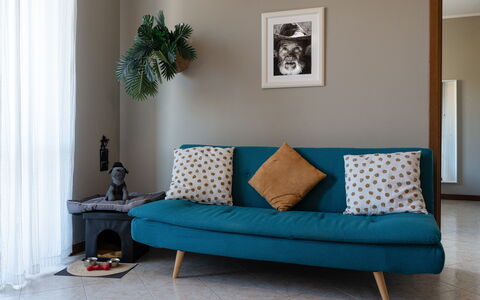 La Casa del Saggio: Møbel, Indretning, Pude, Couch, Etage, Gulvbelægning, Textile, Throw Pillow, Stue, Værelse