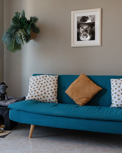 La Casa del Saggio: Møbel, Indretning, Pude, Couch, Etage, Gulvbelægning, Textile, Throw Pillow, Stue, Værelse