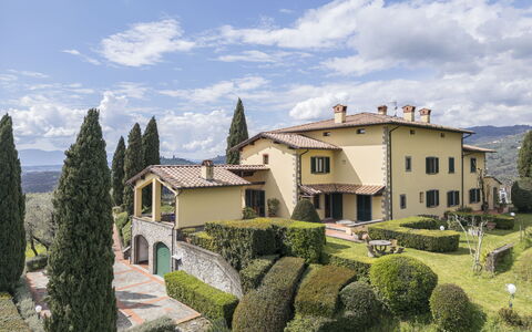 Villa Alessia Luxury: Have, Estate, Landscaping, Villa, Mansion, Hæk