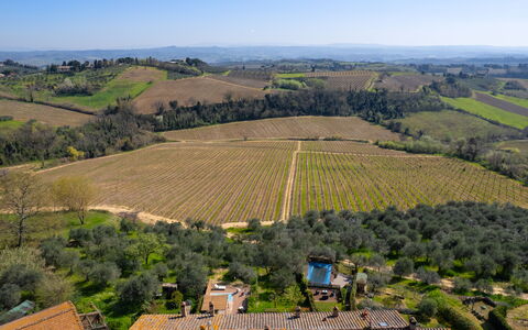 Casa Meletta: Landskab, Landdistrikt, Fugleperspektiv, Land Lot, Landbrug, Luftfotografering, Plantation, Mark, Almindeligt, Chaparral