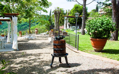 Agriturismo Casa Da Pietro: Møbel, Have, Udendørs Møbler, Forår, Blomsterkrukke, Skygge, Backyard, Gård, Landscaping