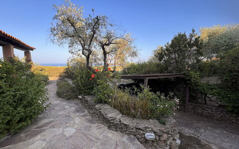 Villetta Oasi Belvedere, Budoni, Wifi, Ac: Busk, Have, Landscaping, Backyard, Flise, Blomsterkrukke