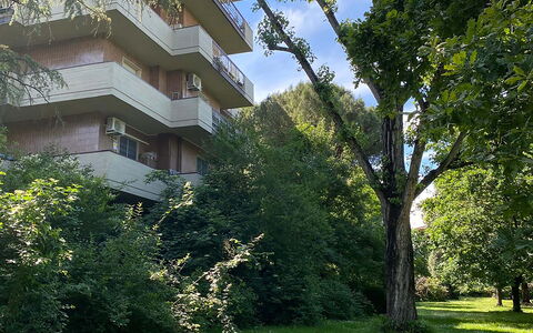 Suite Vogel: Vegetationen, Busk, Lejlighed, Have, Ejerlejlighed, Landscaping, Evergreen
