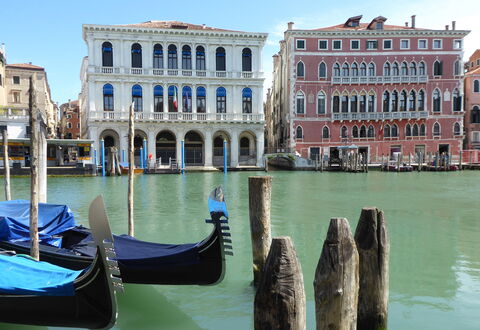 Venice Photobirding, Nature And Culture: Båd, Krop Af Vand, Både Og Sejlsport - Udstyr Og Materiel, Vandfartøjer, Bygning, Vandvej, Kanal, Kanal, Vandløb