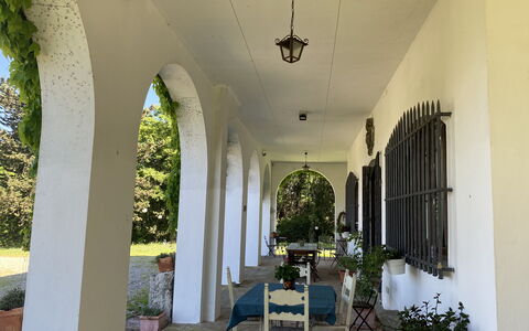 Villa Albertina: Arch, Kolonne, Dør, Hacienda, Skygge, Arcade, Veranda, Estate, Stueplante, Gård