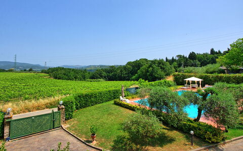 Villa Adriana: Busk, Have, Svømmepøl, Eco Hotel, Plantation, Udvej, Landscaping, Hacienda, Estate, Backyard