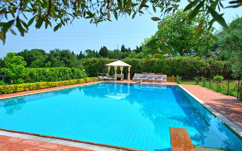 Villa Adriana: Svømmepøl, Udvej, Fritid, Eco Hotel, Have, Skygge, Hacienda, Water Feature, Landscaping, Udendørs Møbler