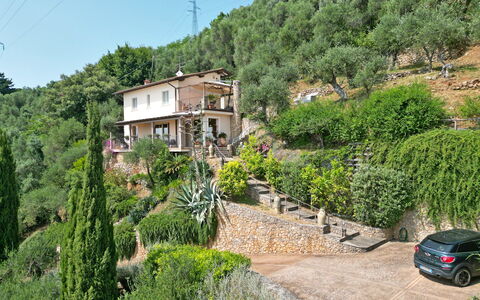 Uno Sguardo sul Mare: Vegetationen, Busk, Landskab, Landdistrikt, Hus, Plantesamfund, Hill Station, Forår, Landsby