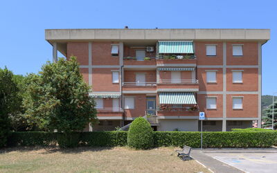 Bortoli
