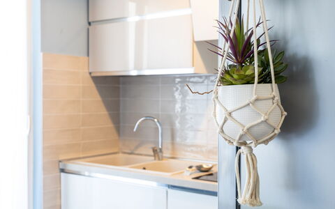 Altamarea Apartment: Indretning, Blomsterkrukke, Køkken, Gulvbelægning, Etage, Stueplante, Countertop, Værelse, Vase, Cabinetry