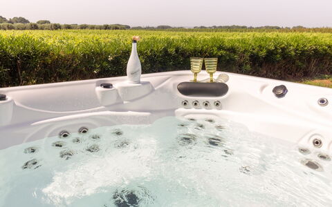 Villa Leone Reale: Sanitærarmatur, Fritid, Svømmepøl, Badekar, Jacuzzi, Udvej, Water Feature, Backyard