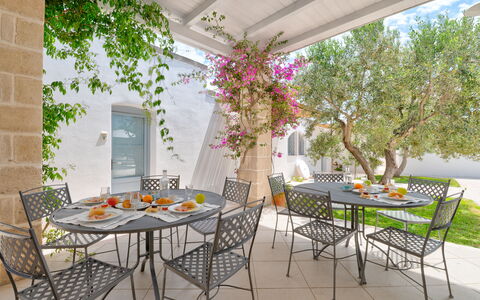 Masseria Lamagrotte By Raro Rooms: Møbel, Stol, Bord, Udendørs Møbler, Køkken & Spisebord, Udendørs Bord, Blomsterkrukke, Gårdhave, Restaurant, Have