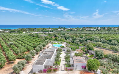 Masseria Lamagrotte By Raro Rooms: Udvej, Estate, Landscaping, Plantation, Fugleperspektiv, Svømmepøl, Eco Hotel, Luftfotografering, Ferieby, Hacienda