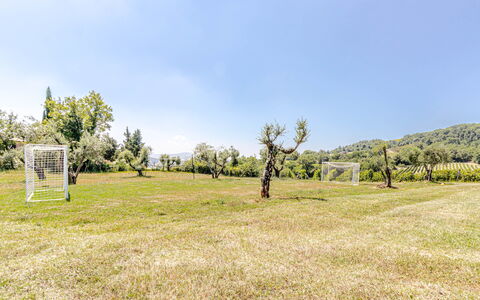 Villa Anna: Træ, Græs, Græs-, Land Lot, Almindeligt, Eng, Forår, Lawn, Pasture