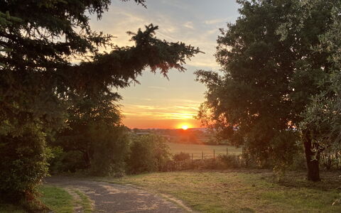 Villa Ginevra: Sol, Blad, Afdeling, Træ, Natur, Græs, Naturlige Landskab, Solnedgang, Solopgang