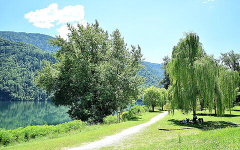 Casa Zaira: Grøn, Blad, Træ, Natur, Naturligt Miljø, Vegetationen, Naturlige Landskab, Landskab, Bank, Forår