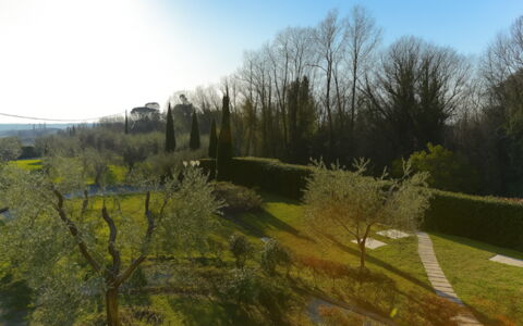 Villa Diamante: Græs, Blad, Natur, Grøn, Naturligt Miljø, Vegetationen, Naturlige Landskab, Busk, Landskab, Land Lot