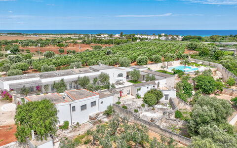 Masseria Lamagrotte: Træ, Boligområde, Landskab, Urban Design, Menneskelig Bosættelse, Fugleperspektiv, Estate, Forstad, Luftfotografering, Landscaping