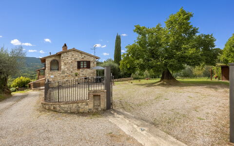 Oliveto Del Cantarello: Hjem, Sommerhus, Estate, Stuehus, Landsby, Hegn, Gård, Indkørsel, Villa, Home Fencing