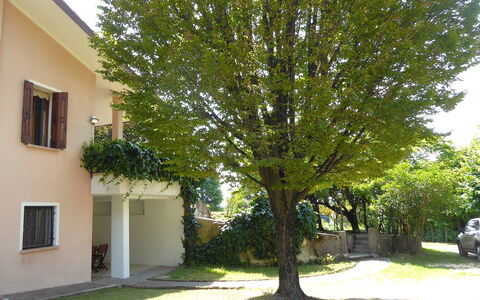 Villa Rosa Apartment: Vedplante, Skygge, Gård, Have, Lawn, Backyard, Landscaping, Indkørsel, Evergreen