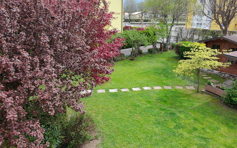 House Martina: Busk, Have, Bunddække, Lawn, Forår, Backyard, Gård, Landscaping, Parkere
