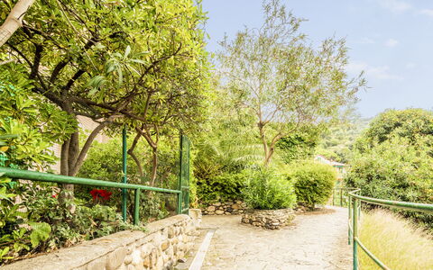Casa Dolly, Monterosso 5 Terre: Grøn, Vegetationen, Busk, Forår, Have, Skygge, Botanisk Have, Landscaping, Hegn, Walkway