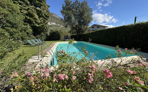 Allo Scoiattolo: Busk, Svømmepøl, Have, Landscaping, Backyard, Gård, Hacienda, Stuehus, Eco Hotel