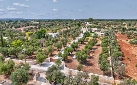 Trulli di Luccio: Træ, Landskab, Land Lot, Fugleperspektiv, Luftfotografering, Plantation, Landsby, Landscaping