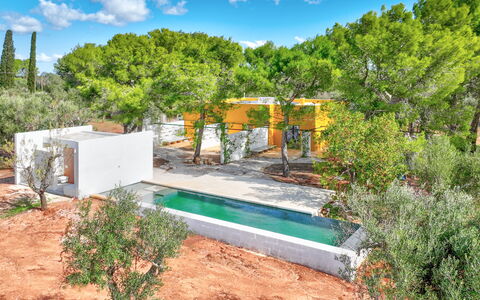 Villa Manè: Have, Landscaping, Backyard