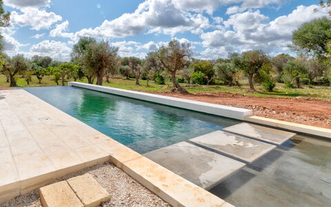 Villa Manè: Kompositmateriale, Svømmepøl, Water Feature, Afspejling, Landscaping, Flise, Reflekterende Pool, Walkway