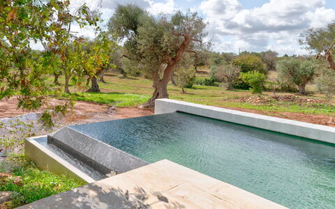 Villa Manè: Kompositmateriale, Have, Svømmepøl, Water Feature, Landscaping, Backyard, Naturmateriale, Design