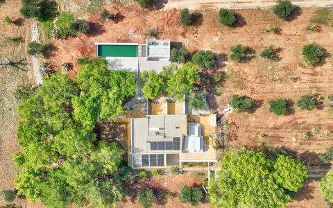 Villa Manè: Træ, Estate, Plantation, Luftfotografering, Fugleperspektiv
