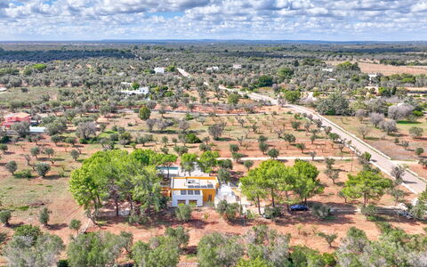 Villa Manè: Daytime, Træ, Landskab, Land Lot, Almindeligt, Landdistrikt, Fugleperspektiv, Mark, Luftfotografering, Plantation