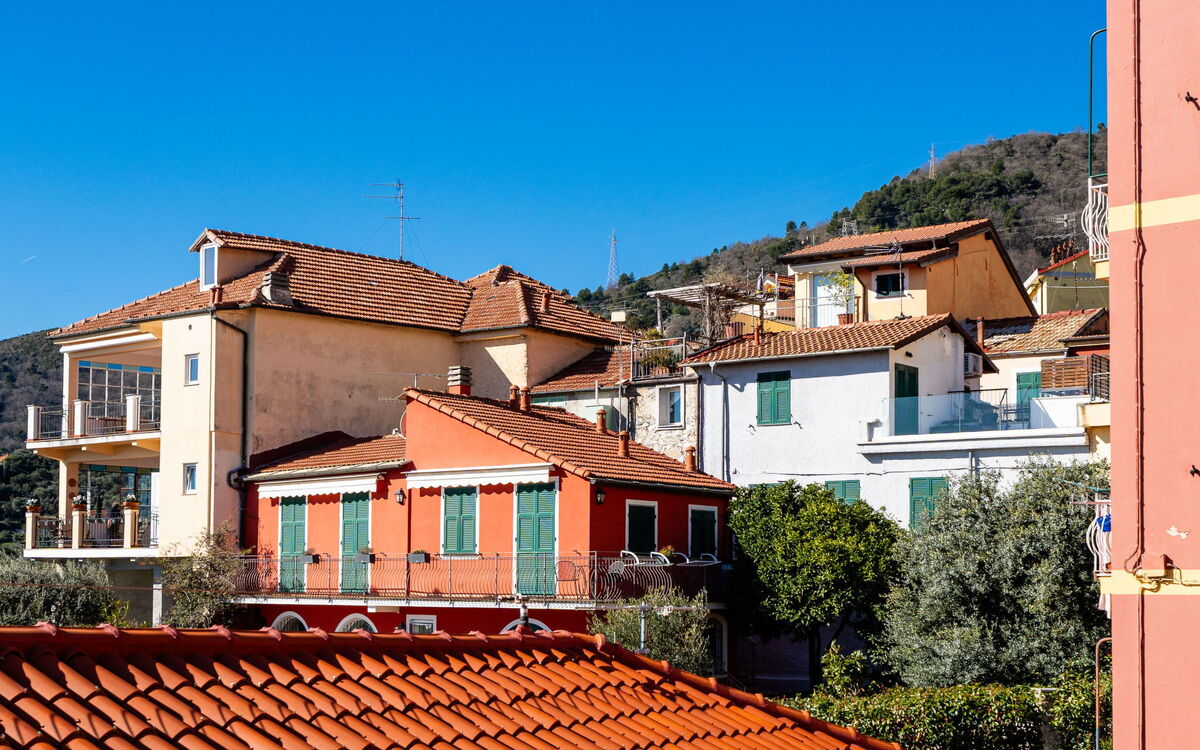 Terrazza con Glicine