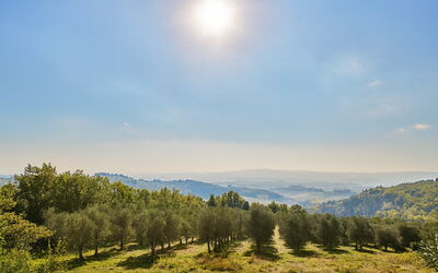 La Novellina – Historic Villa with Pool on an Orga