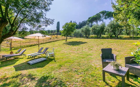 Podere la Botte, Pool, Lari: Græs, Busk, Land Lot, Almindeligt, Have, Eng, Lawn, Parkere, Pasture, Landscaping