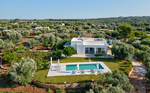 Lacorte di Ninetta: Landskab, Land Lot, Estate, Landscaping, Plantation, Villa