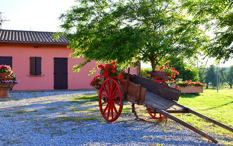 Appartamento Ibisco Seaside and Pool: Have, Landscaping, Gård, Indkørsel, Blomsterkrukke, Hacienda