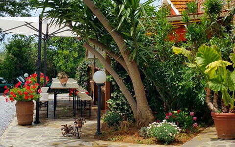 Suite Orchidea Seaside and Pool: Grøn, Blomsterkrukke, Have, Møbel, Skygge, Udendørs Møbler, Backyard, Stueplante, Stol