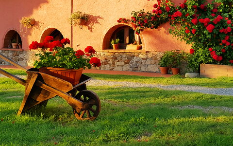 Appartamento Lavanda Seaside and Pool: Have, Landscaping, Gård, Blomsterkrukke, Backyard, Hacienda, Stueplante