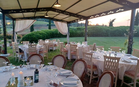 Tenuta Borgo al Sole: Begivenhed, Møbel, Have, Lawn, Dug, Baldakin, Udendørs Struktur, Gård, Skygge, Backyard