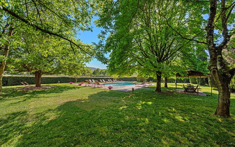 Medieval Castle Living: Vineyards, Swimming Pool &: Træ, Natur, Blad, Afdeling, Have, Sollys, Skygge, Lawn, Parkere, Landscaping